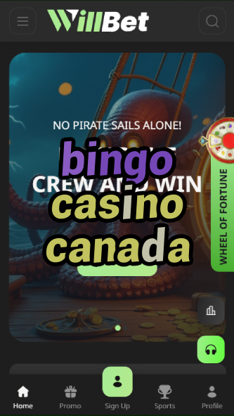 bingo casino canada-asdasdzhjkds.com