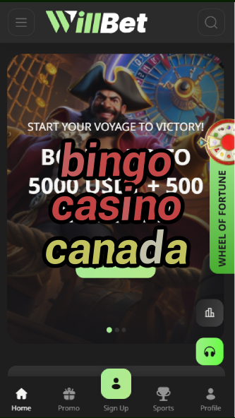 bingo casino canada-asdasdzhjkds.com